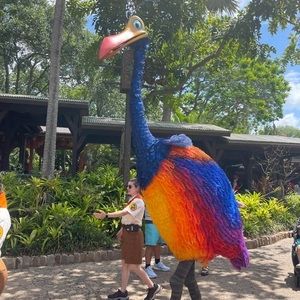 Meet your Posher, Lynnette